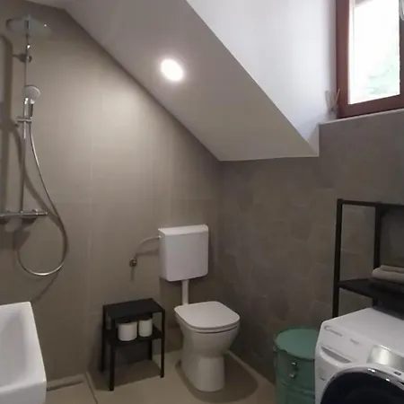 Apartment Karlovska Old Town Ljubljana